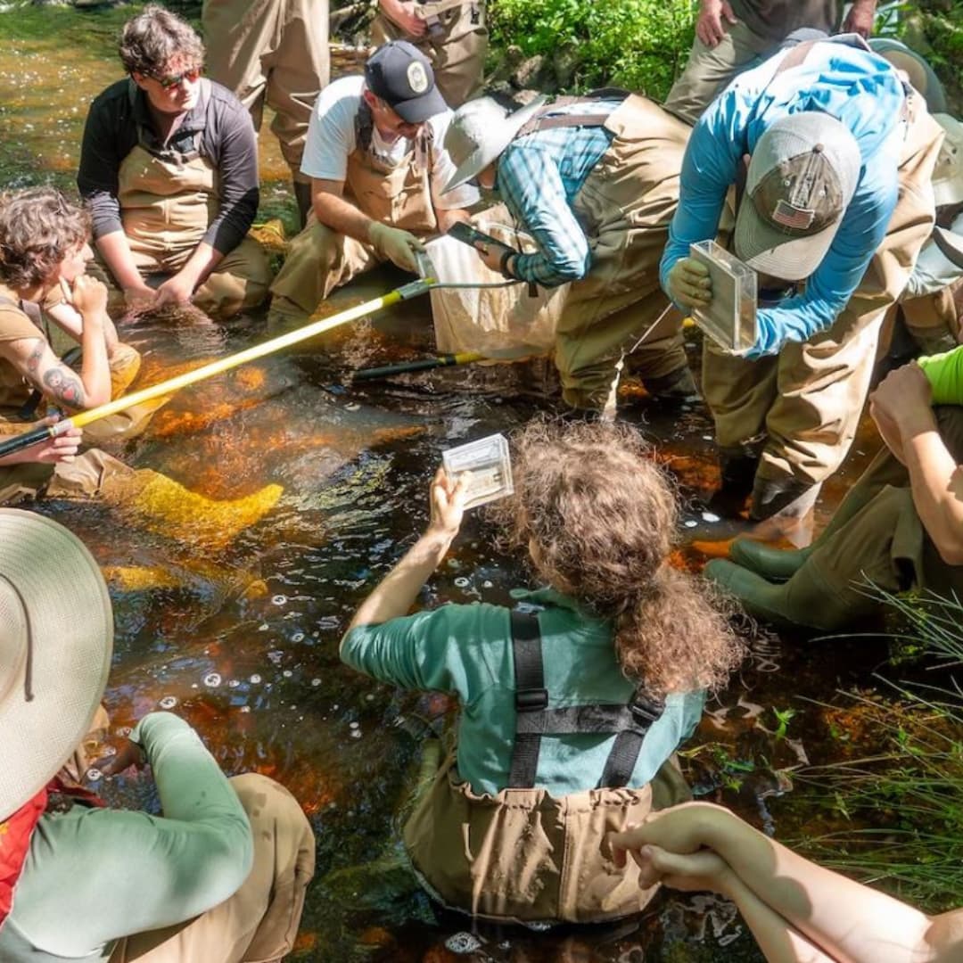 Students circled around in a river examining the water samples.