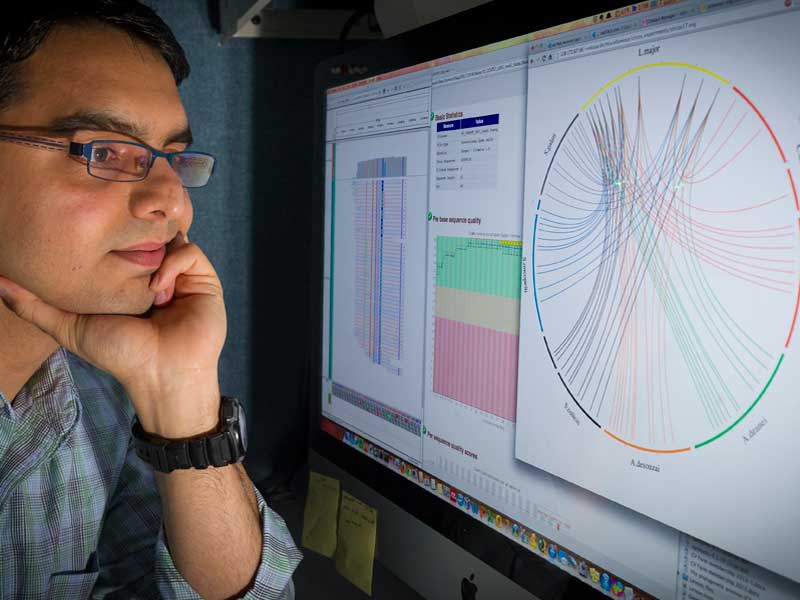 researcher examining data on a computer monitor