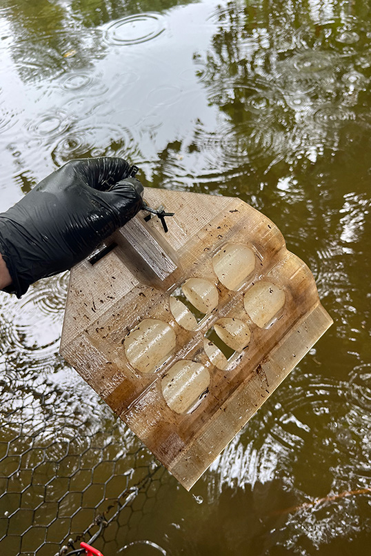 A gloved hand pulls a sample container out of the river