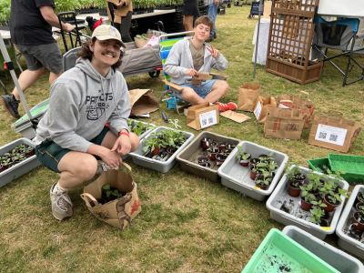 Students organizing plants